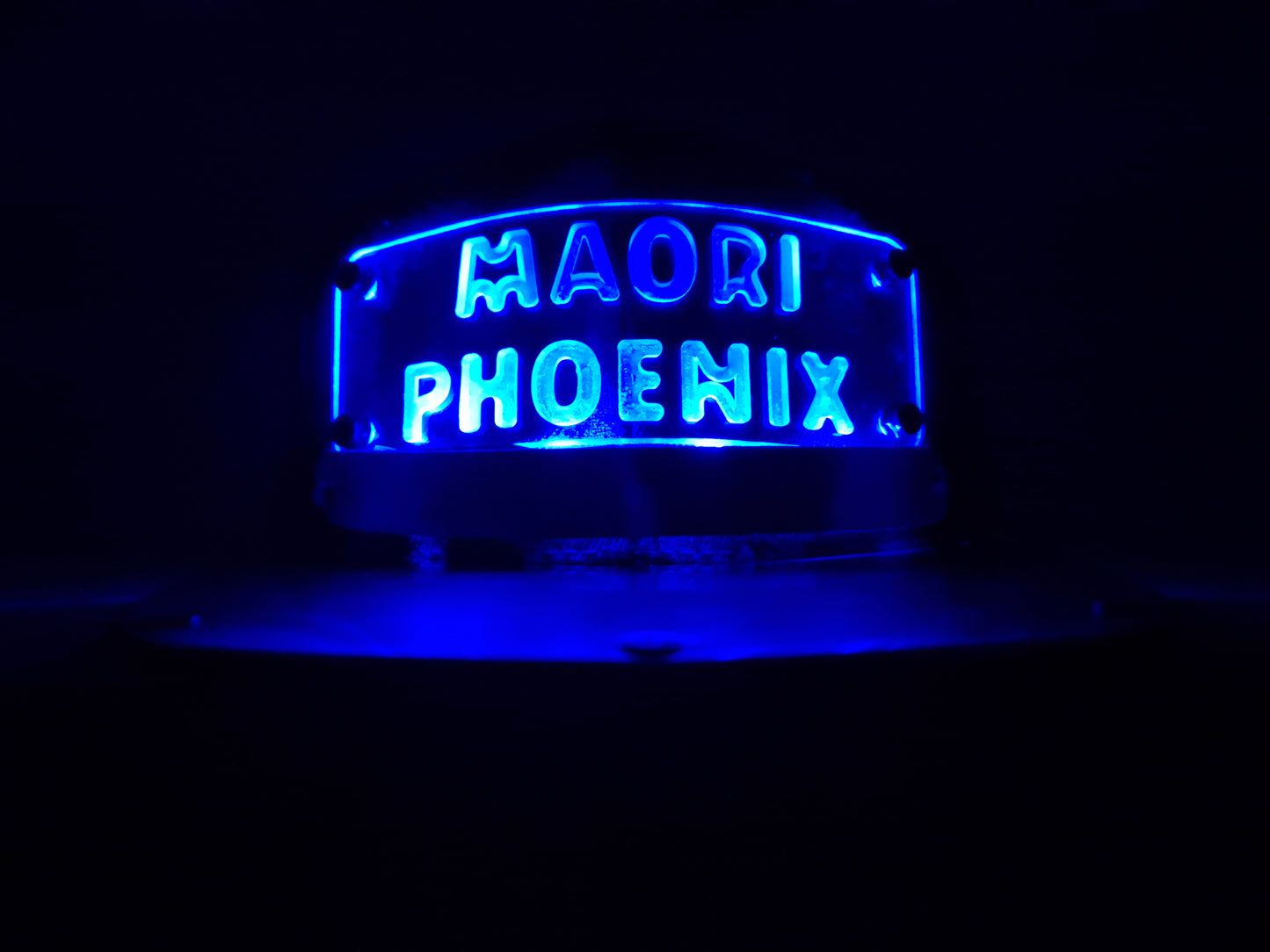 CUSTOM LED SNAPBACK (Add your logo/Name)