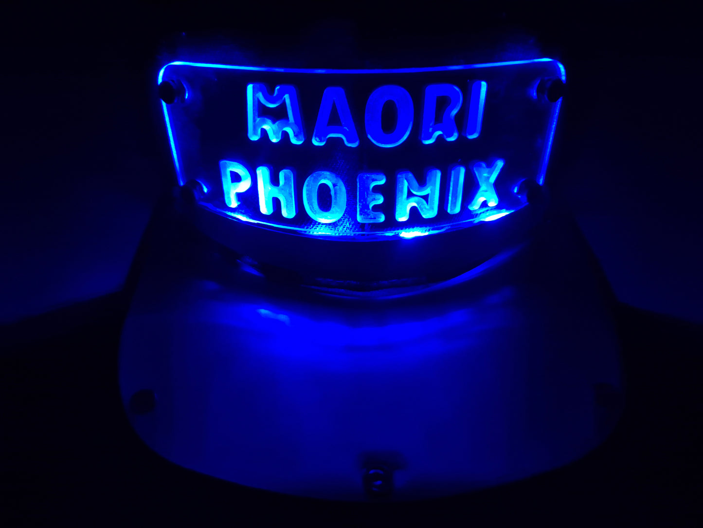 CUSTOM LED SNAPBACK (Add your logo/Name)