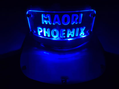 CUSTOM LED SNAPBACK (Add your logo/Name)